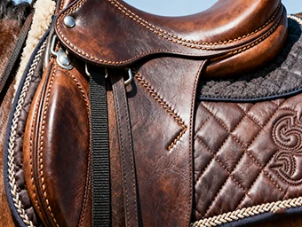 Saddlery Saddlery